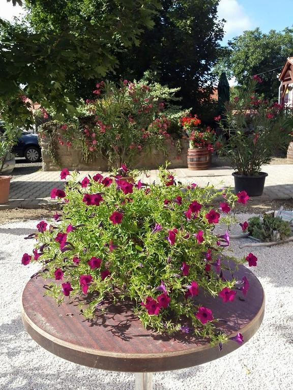 Borostyankert Etterem & Vendeghaz Hotel Sitke Екстериор снимка